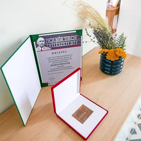 Bronz25 A Velencei-tonal Gardony